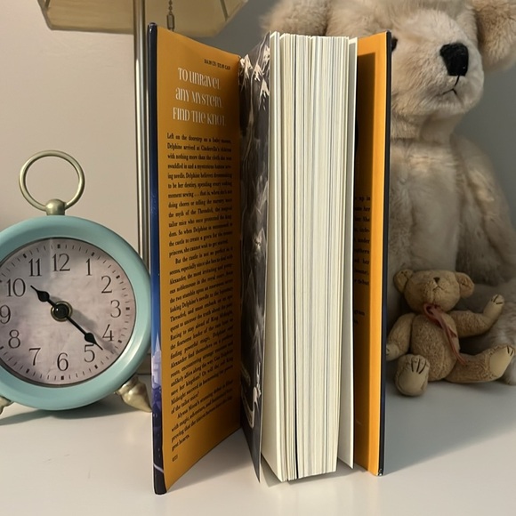 Delphine and The Silver Needle by Alyssa Moon Hardcover Novel - Picture 5 of 7